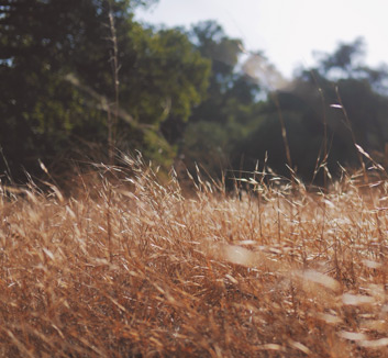 尤文图斯客场逆袭巴黎圣日耳曼，晋级希望重燃