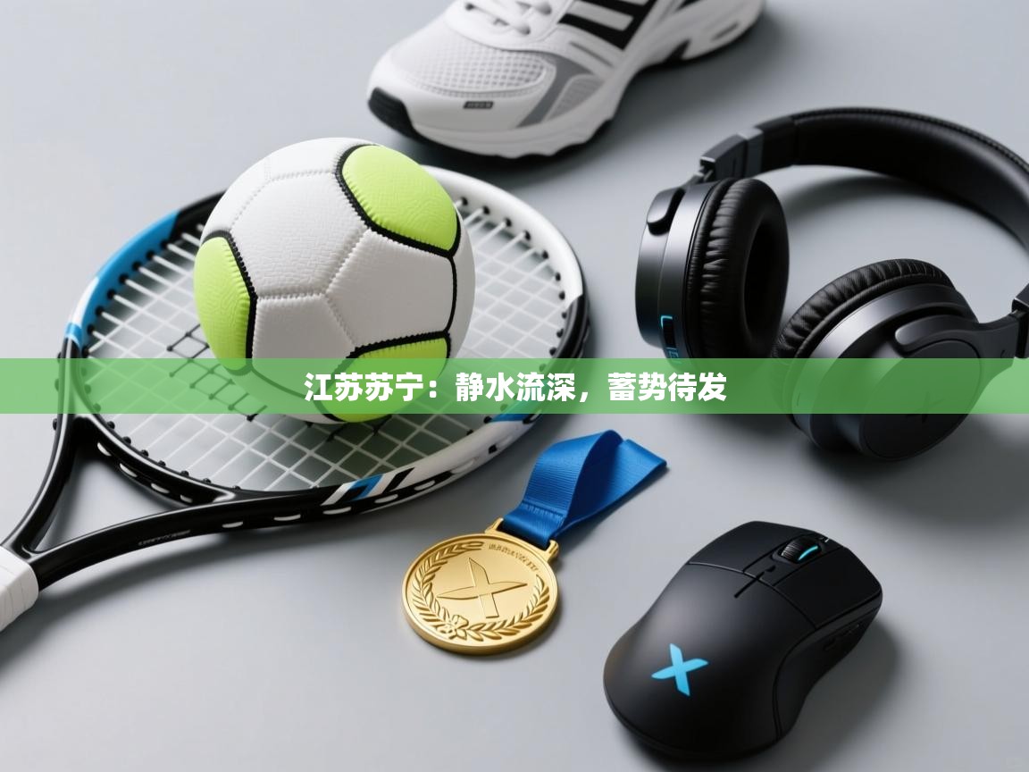 江苏苏宁：静水流深，蓄势待发  第2张