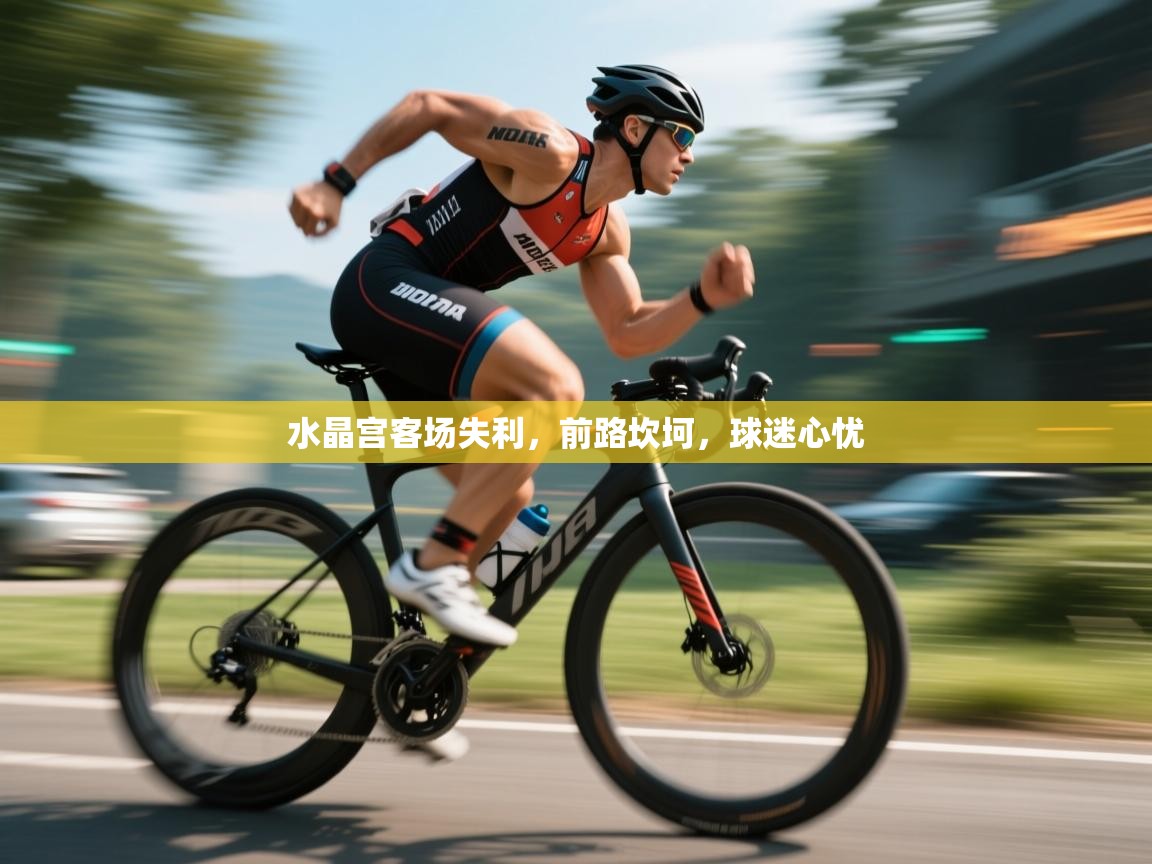 水晶宫客场失利,前路坎坷,球迷心忧 第2张